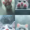 透过磨砂玻璃，我看到了一张可爱的猫脸，纹理朦胧，下面伸出了两个粉红色的爪子。简单的背景和卡通风格。以白色和灰色为特色，采用极简主义设计。只有一只爪子的特写，带有模糊效果以增加深度
--原始风格
--ar 9：16