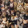 充满猫、图案、超现实、高度详细的智能手机壁纸
--ar 9：16