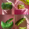 Product photography of a green bag that looks like a leaf. positioned on a pink pedestal. A pink wall in the background. Frontal light. ultrarealistic photography
  --style raw --ar 3:4 --s 750