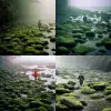 in the morning，In a damp dream, Waves rising from moss and stones，The waves hit the mossy stones，cold light，A young Chinese wearing pajamas，Goldfish surround the man，Walking through the dense and diff
