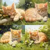 画一个小猫在草坪上打盹