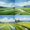 平原，稻田，真实