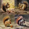Squirrel eating a walnut on a ground