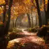 秋林小路蜿蜒，70-200个镜头，照片逼真，大气，落叶，体积照明8k