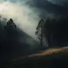 雾气朦胧的前景，灯光从背景照射到照片中
