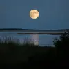 月光之夜--没有丑陋、畸形、吵闹、模糊、扭曲、失焦、解剖结构不良、四肢多余、脸部描绘不良、手描绘不良、手指缺失、模糊、解剖结构不良、四肢多余、脸部描绘不良、手指缺失、丑陋、变形、吵闹、模糊、扭曲、颗粒状