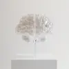 乳白色技术数字设计，将人体器官大脑完美再现为水晶雕塑，在纯白底座上，在空白的中性白色空间中，自然光，梦幻般的，超现实，超细节，8 k