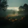 雾气朦胧的前景，灯光从背景照射到照片中
