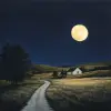 Moonlight night --no ugly, deformed, noisy, blurry, distorted, out of focus, bad anatomy, extra limbs, poorly drawn face, poorly drawn hands, missing fingers, blurry, bad anatomy, extra limbs, poorly 