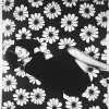 高级时尚、时尚、花卉图案，1949年--没有丑陋、畸形、吵闹、模糊、扭曲、失焦、手指多余、解剖结构不佳、四肢多余、脸部画得不佳、手画得不佳、手指缺失--c75