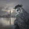 《Trauco》，汤姆·巴格肖（Tom Bagshaw），获奖全身肖像照片，使用柯达Portra 800、哈苏500 C、55 mm f/ 1拍摄。8个镜头，极深，可用光线，高对比度，超高清，HDR，DDA，8 K：：1 --c 50