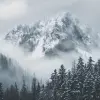 这是一座笼罩在薄雾中的山峰，周围环绕着茂密的松林，以安塞尔·亚当斯的风格拍摄。山腰被积雪覆盖，营造出一种空灵的氛围，在雾云的背景下强调了它的宏伟。使用尼康D850从下方拍摄，以获得戏剧性的视角。--ar 3：2 --v 6.0