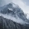 这是一座笼罩在薄雾中的山峰，周围环绕着茂密的松林，以安塞尔·亚当斯的风格拍摄。山腰被积雪覆盖，营造出一种空灵的氛围，在雾云的背景下强调了它的宏伟。使用尼康D850从下方拍摄，以获得戏剧性的视角。--ar 3：2 --v 6.0