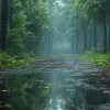A beautiful forest with tall trees and lush foliage, gentle rain falling on the leaves and forest floor, puddles reflecting the trees and sky, a dirt road winding through the forest, serene and peacef