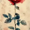灰白色背景上的红玫瑰，水彩插图风格--ar 1：2 --styleston 750