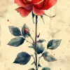 灰白色背景上的红玫瑰，水彩插图风格--ar 1：2 --styleston 750