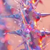透明颜色的尖刺的特写，风格为vray追踪、分子、扭曲分支、全息术、zbrush、泡沫朋克、发光sfumato --v6.0--风格原始--ar 9：16