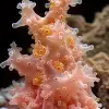 3D渲染新发现的生命形式自由形式的分数形液滴铁磁流体、同心美丽的黑暗混乱、旋转的红黄绿蓝频率在黑色背景上完美对称。--ar 21：32 --v 6.0 --s 1000 --c 100