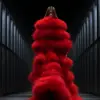 一位穿着红色连衣裙的女人走在跑道上，毛皮斗篷，elize theron，artforum，ferguson keller，sony a 7 III，gettyimages，Eiseen，神秘传说，Charlotte，彼得·默巴赫，戛纳，令人惊叹。屡获殊荣，面料和纺织品，软烟，阿玛尼--放松--v 5.2 --ar 3：4