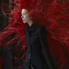 瑞典美发师mara senilin穿着一套黑色套装，红色线条风格，自然灵感的形式，帕特里克·凯利，jeeyweldane lee，wetcore，jocelyn hobbie --ar 51：64 --v 6.0 --风格原始