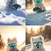 在沐浴在金色阳光下的雪地里，一只尾巴卷曲的白色日本斯皮兹小狗戴着青色镜面、带有深绿色带子的无框滑雪护目镜，骑着深绿色滑雪板迅速下山。整体调色板包括奶油色和粉彩。极宽镜头、坦率镜头、鲜艳的色彩、柔和的自然光、日光。
  --ar 9：16 --风格原始